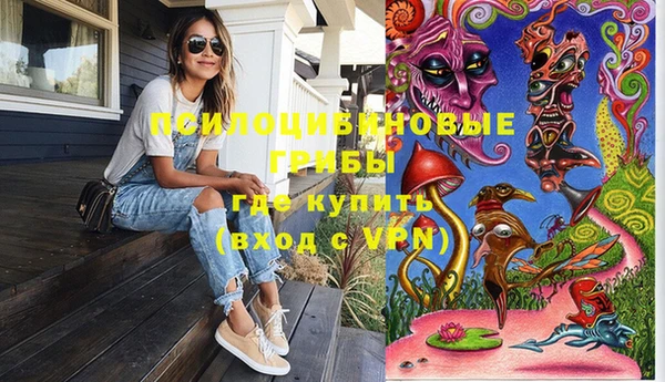 дмт Алзамай