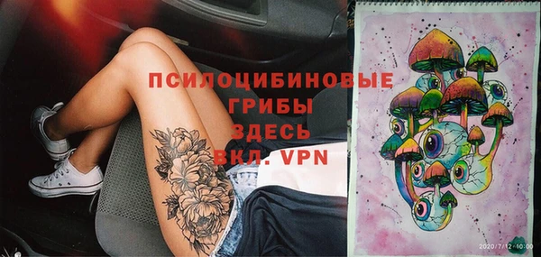 твердый Аркадак