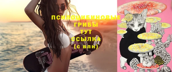 дмт Алзамай