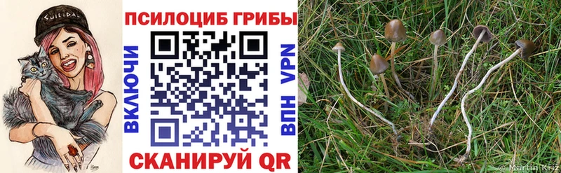 Галлюциногенные грибы прущие грибы  Астрахань 